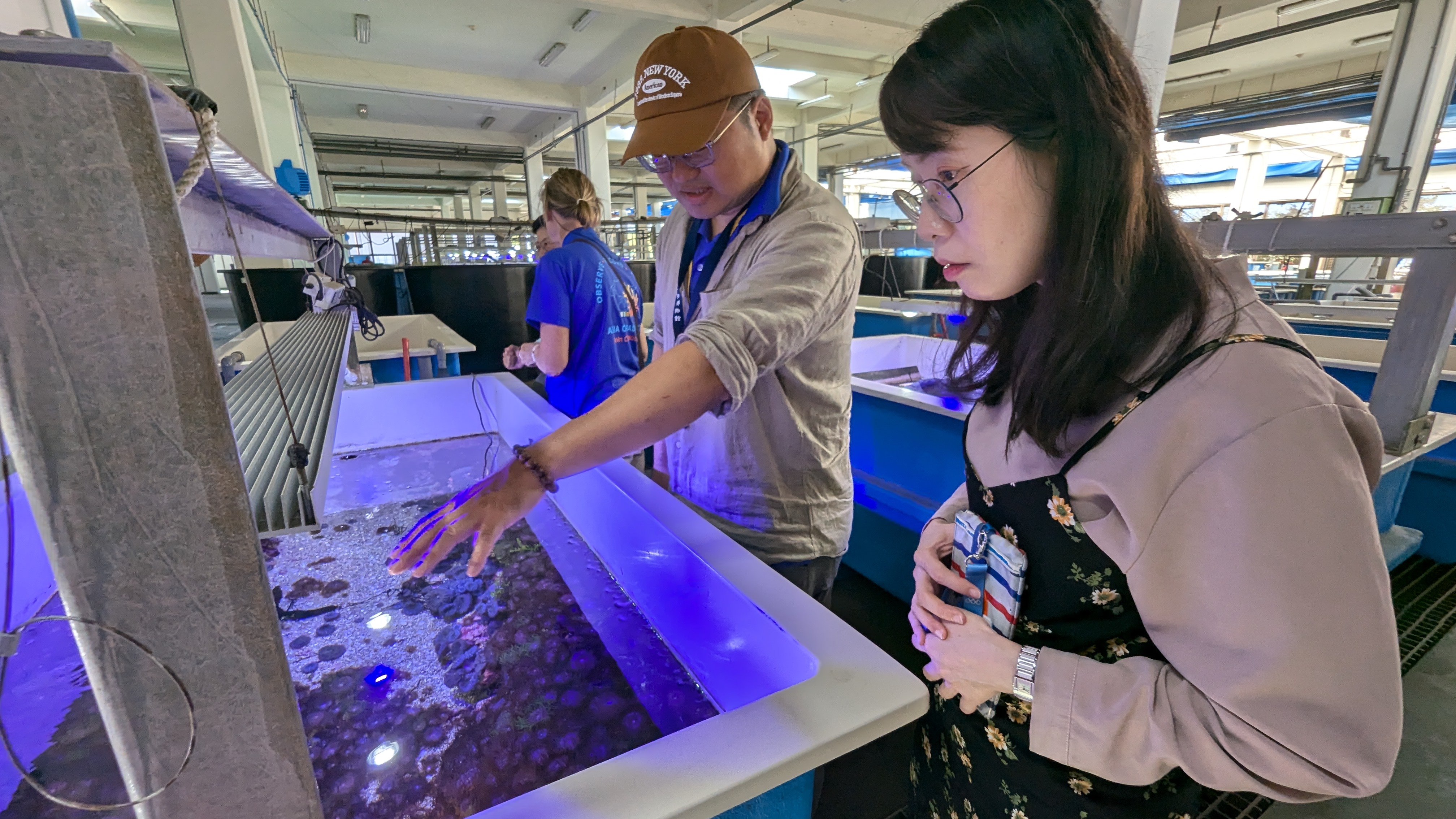 海域安全策展